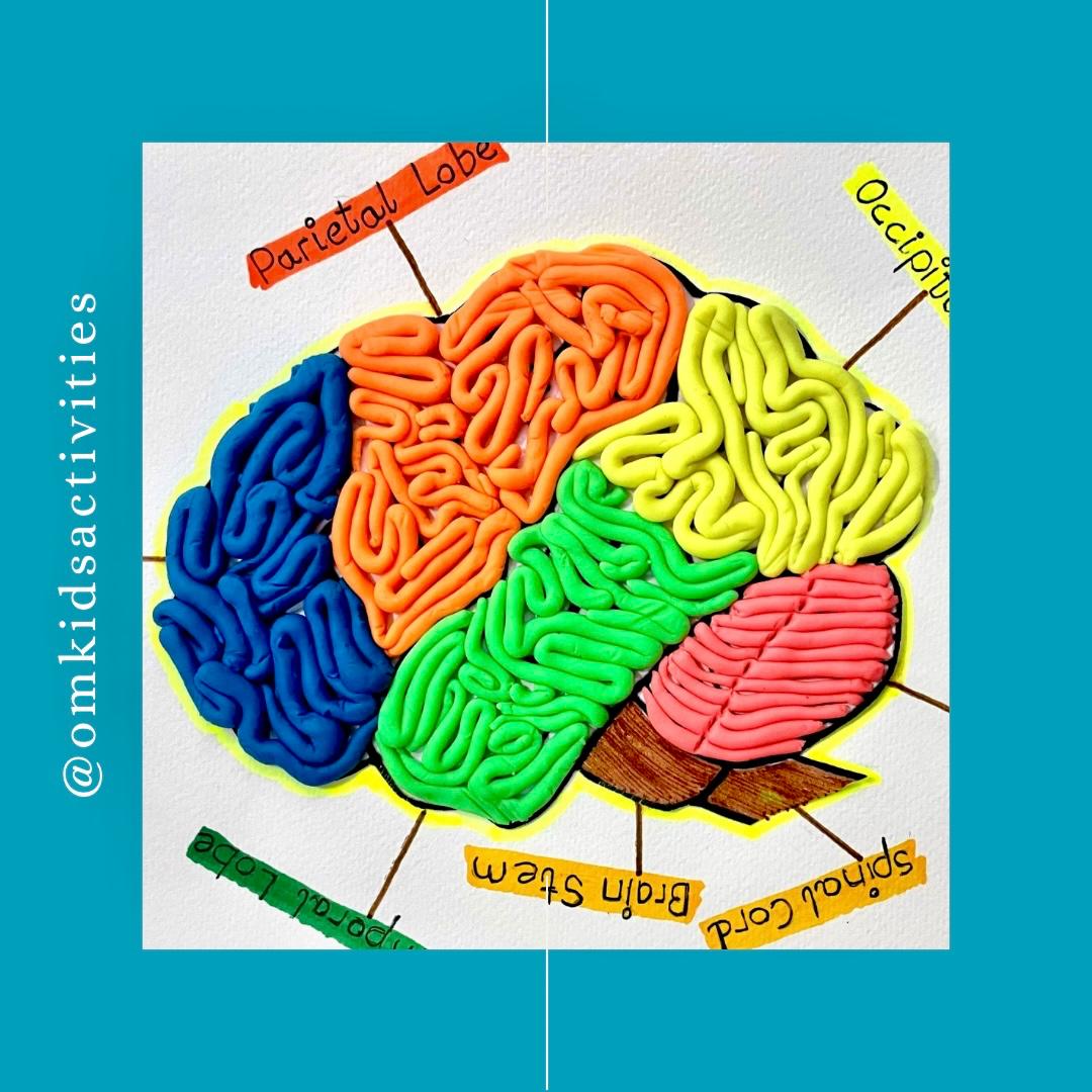 WhatsApp-Image-2025-03-05-at-18.01.25_923ea90d